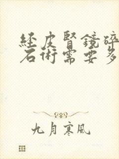 经皮肾镜碎石取石术需要多少钱