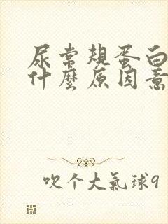 尿常规蛋白质+什么原因意思