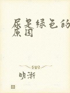 尿是绿色的什么原因