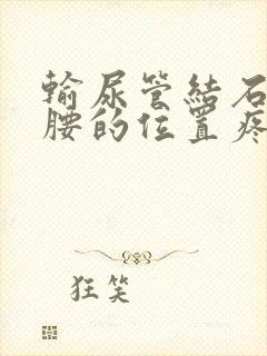 输尿管结石后背腰的位置疼