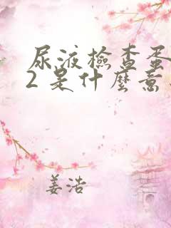 尿液检查蛋白质2 是什么意思