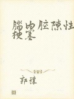 脑内腔隙性脑内梗塞