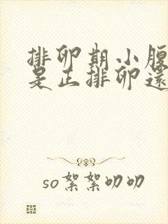 排卵期小腹坠疼是正排卵还是已经排了