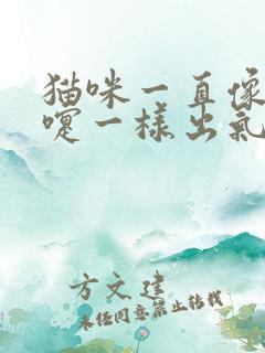 猫咪一直像打喷嚏一样出气是怎么了