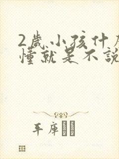 2岁小孩什么都懂就是不说话