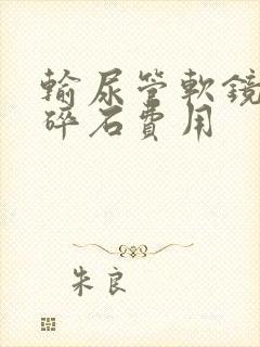 输尿管软镜激光碎石费用