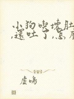 小狗吃坏肚子了,还吐了,怎么办