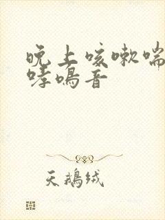 晚上咳嗽喘气有哮鸣音