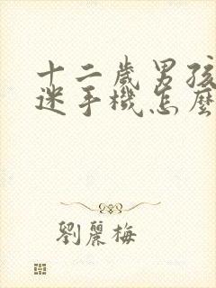 十二岁男孩子沉迷手机怎么办