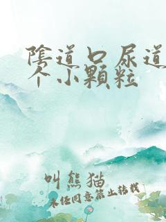 阴道口尿道口长个小颗粒