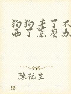 狗狗老了不吃东西了怎么办