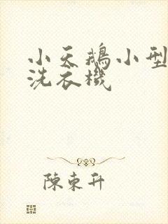小天鹅小型儿童洗衣机