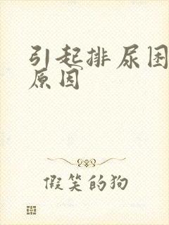 引起排尿困难的原因