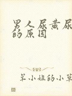 男人尿黄尿味骚的原因