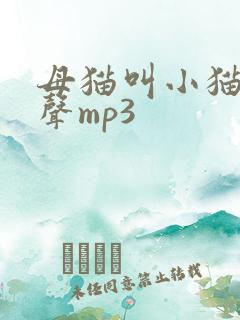 母猫叫小猫的叫声mp3