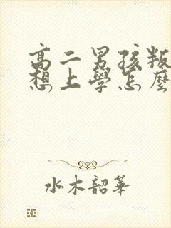 高二男孩叛逆不想上学怎么办啊