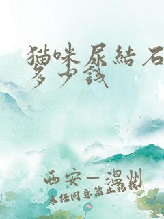 猫咪尿结石要花多少钱