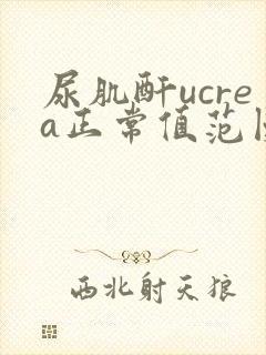 尿肌酐ucrea正常值范围 umol/l