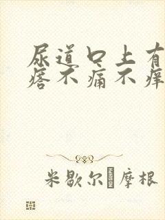 尿道口上有小疙瘩不痛不痒