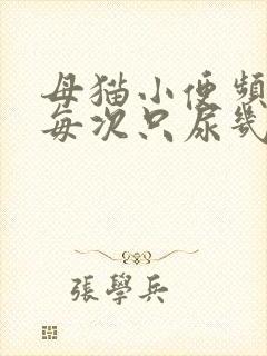 母猫小便频繁,每次只尿几滴