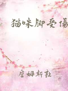 猫咪脚受伤流脓