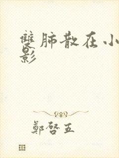 双肺散在小结节影