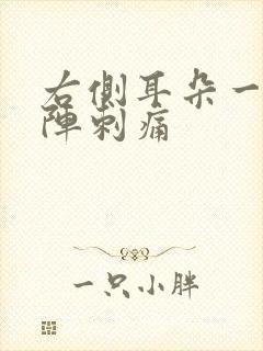 右侧耳朵一阵一阵刺痛