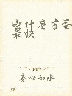 吃什么有蛋白质最快