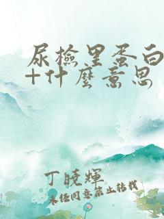 尿检里蛋白质2+什么意思