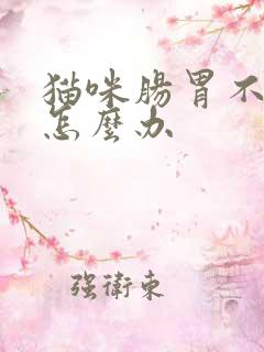 猫咪肠胃不舒服怎么办