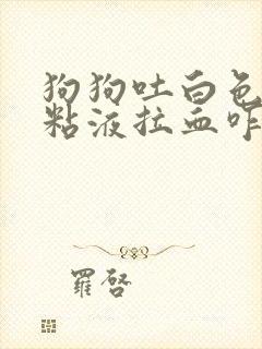 狗狗吐白色泡沫粘液拉血咋办