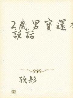 2岁男宝还不会说话