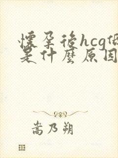 怀孕后hcg低是什么原因造成的