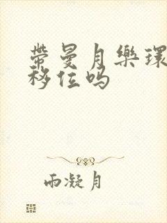 带曼月乐环容易移位吗