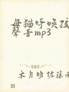 母猫呼唤孩子的声音mp3