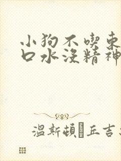 小狗不吃东西流口水没精神怎么办