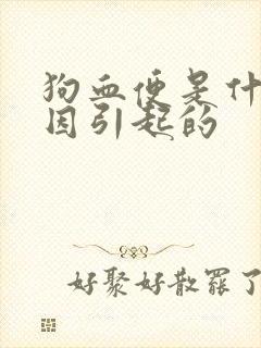 狗血便是什么原因引起的