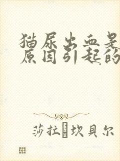 猫尿出血是什么原因引起的