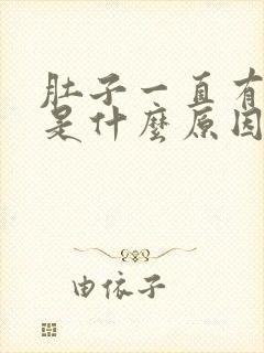 肚子一直有胀气是什么原因