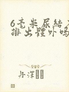 6毫米尿结石能排出体外吗