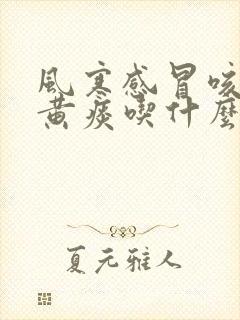 风寒感冒咳嗽有黄痰吃什么药