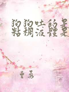 狗狗吐的是白色粘稠液体是怎么回事