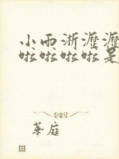 小雨淅沥沥哗啦啦啦啦啦是什么歌