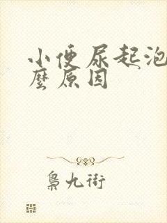 小便尿起泡是什么原因