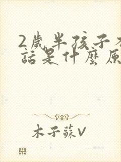 2岁半孩子不说话是什么原因