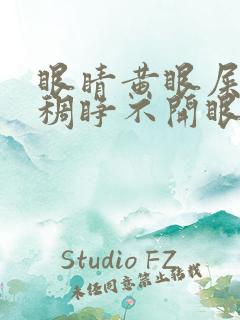 眼睛黄眼屎多粘稠睁不开眼