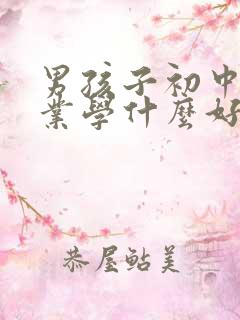 男孩子初中没毕业学什么好