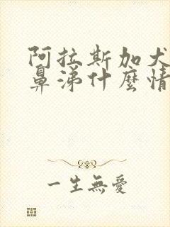 阿拉斯加犬流黄鼻涕什么情况