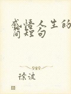 感悟人生的句子简短句