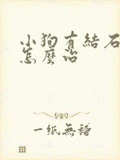 小狗有结石尿血怎么治